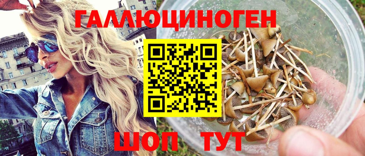 Псилоцибиновые грибы Psilocybine cubensis  Вход с VPN  Красноярск 