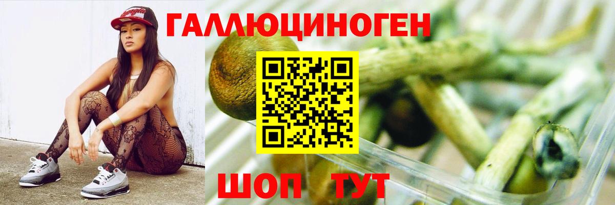 Галлюциногенные грибы MAGIC MUSHROOMS Красноярск